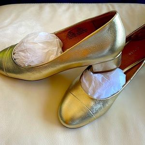 Beautiful golden flat - graduation and other events